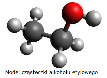 Model cząsteczki etanolu źródło https://forumakademickie.pl/fa/2014/07-08/wirtualne-eksperymenty